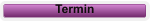 Termin